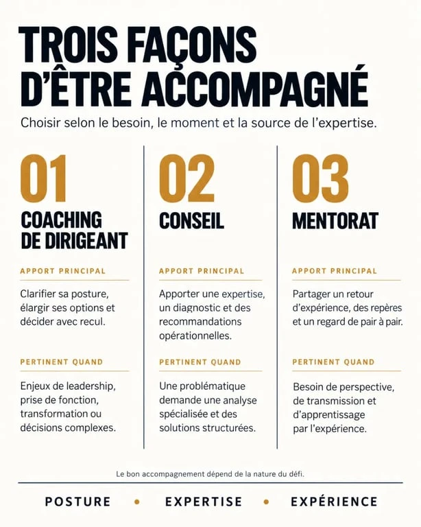 Infographie sur le coach de dirigeant, le conseil et le mentorat